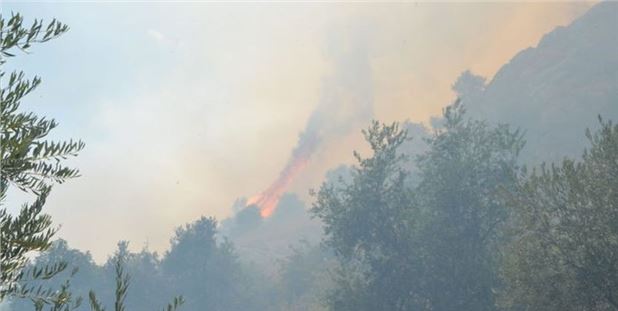 Adana’da orman yangını