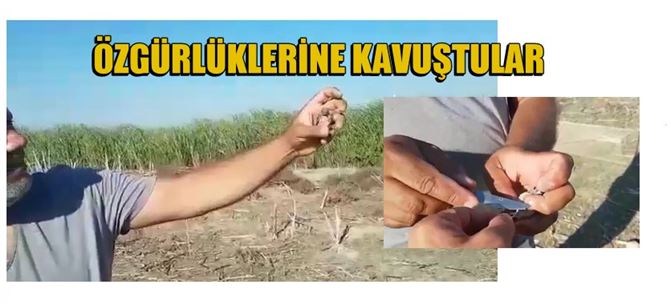 Suriyeli’nin yakaladığı saka kuşları özgürlüğüne kavuştu