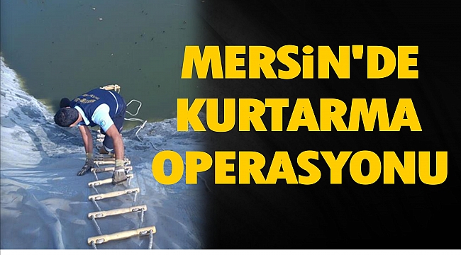 Mersin'de 1228 Metre Rakımda Kurtarma Operasyonu