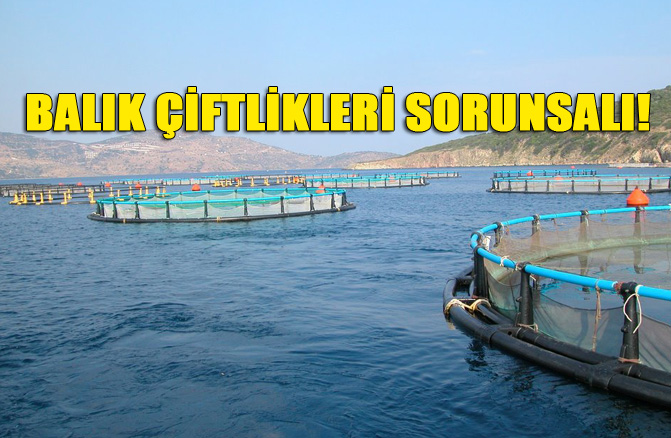 Mersin'de Balık Çiftlikleri Sorunsalı Devam Ediyor!