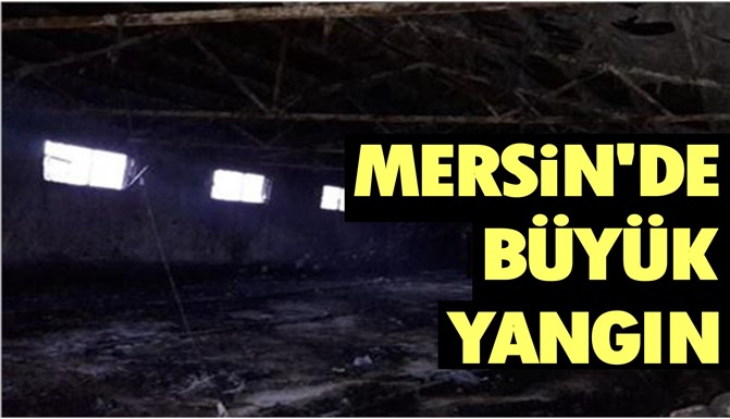 Mersin'de Yangın Bir İşletmeyi Yok Etti