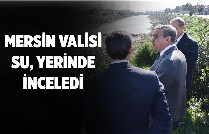 Vali Ali İhsan Su Yerinde İnceledi