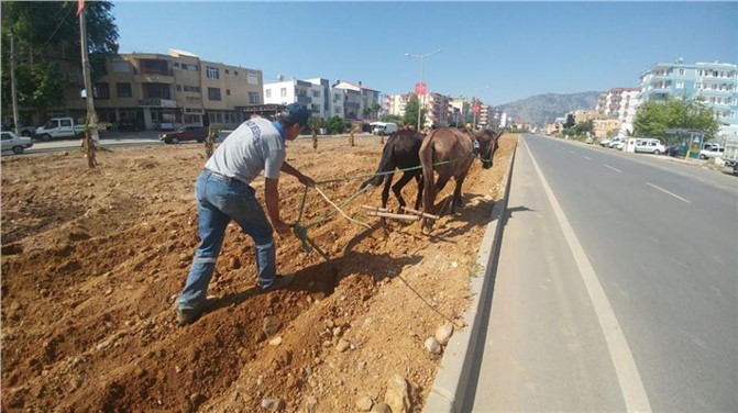 Mersin'deki Çalışmayı Görenler Cep Telefonuna Sarıldı