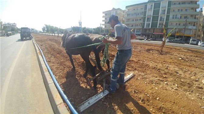 Mersin'deki Çalışmayı Görenler Cep Telefonuna Sarıldı