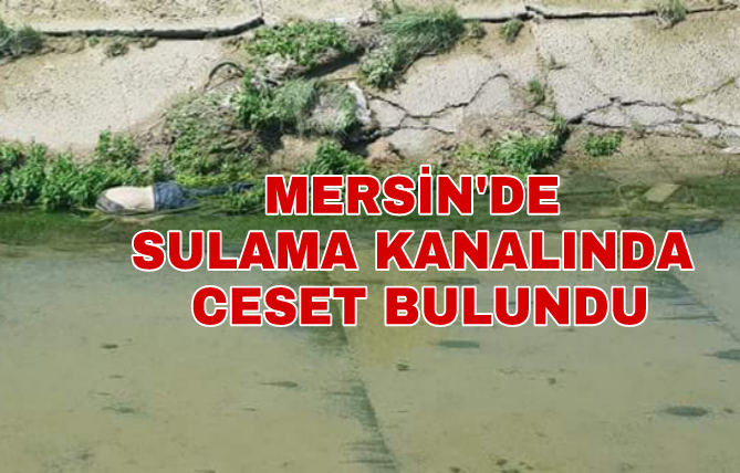 Mersin'de Sulama Kanalında Ceset Bulundu