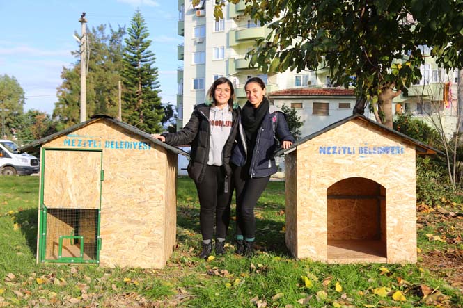 Harika Gençler! Mezitli'de Gençler Bileklik Örüp Sokak Hayvanlarına Yuva Yaptılar