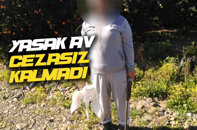 Hatay Arsuz'da Avlanması Yasak Küçük Ak Balıkçıl Türünü Avlayan Şahısa Ceza!