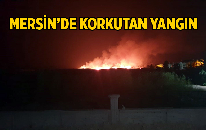 Mersin Silifke'de Ki Yangın Yaşam Alanlarını Tehdit Etti