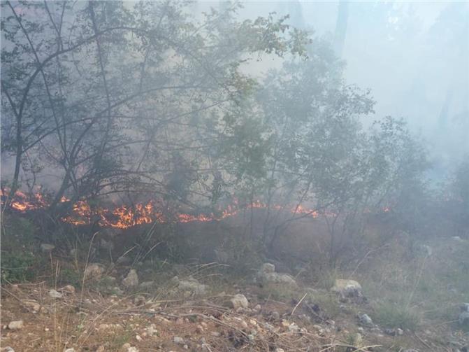 Mersin Tarsus'ta orman yangını söndürüldü