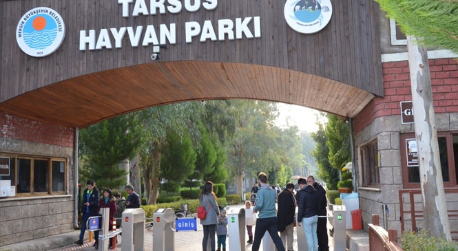 Tarsus Hayvan Parkı Öğrencilere Ücretsiz