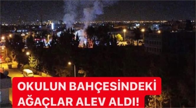 Mersin Akdeniz’deki Bir Lisenin Bahçesindeki Ağaçlar Alev Aldı