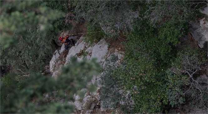 Mersin Erdemli'de İtfaiye Ekipleri Kayıp Keçiyi Sahibine Kavuşturdu