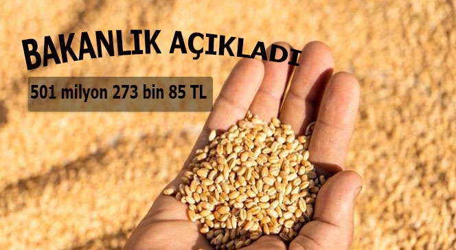 501 Milyon 273 Bin 85 Liralık Destekleme Ödemesi Bugün Hesaplara Aktarılacak