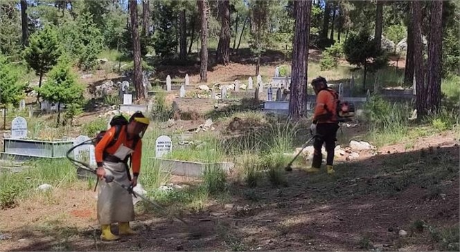 Mersin Büyükşehir Ekiplerinden Kurban Bayramı Öncesi Çamlıyayla’da Mezarlık Temizlik Çalışması