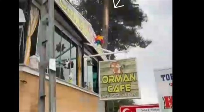 Çamlıyayla'da Orman Cafe'ye Yıldırım Düştü