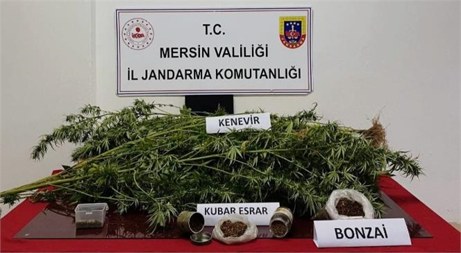 Mersin İl Jandarma Ekipleri Uyuşturucu Satıcılarına Göz Açtırmıyor