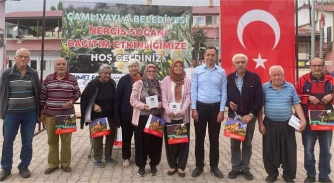 ÇAMLIYAYLA'DA ÜRETICİLERE ALIM GARANTİLİ NERGİS SOĞANI DAĞITIMI YAPILDI