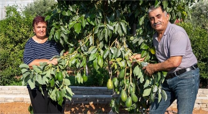 BÜYÜKŞEHİR’İN FİDE FİDAN DESTEKLERİ İLE ÜRETİM DE ÜRETİCİ DE BÜYÜYOR