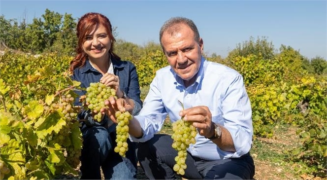 BAŞKAN SEÇER VE MERAL SEÇER, ‘UZUNCABURÇ BAĞ BOZUMU ŞENLİĞİ VE DEĞİRMEN AÇILIŞI’NA KATILDI