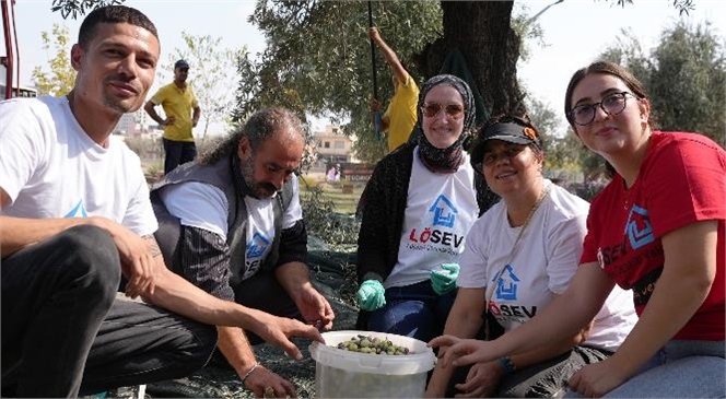 TARSUS’TA LÖSEMİLİ ÇOCUKLAR İÇİN ZEYTİN HASADI