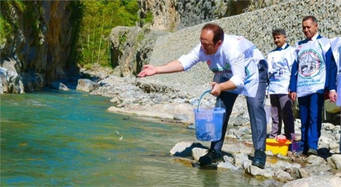 VALİ PEHLİVAN, ÇAMLIYAYLA'DA “BAHÇE ALABALIK ÜRETME VE YETİŞTİRME İSTASYONU”NU ZİYARET ETTİ