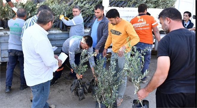 BÜYÜKŞEHİR ÜRETİCİNİN YÜZÜNÜ GÜLDÜRMEYE DEVAM EDİYOR