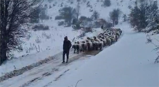 KARDA MAHSUR KALAN VATANDAŞLARIN VE HAYVANLARIN İMDADINA BÜYÜKŞEHİR KOŞUYOR