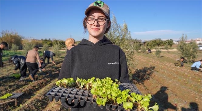 TARSUS BELEDİYESİ'NDEN TARIMA VE EĞİTİME DESTEK: 5 BİN MARUL FİDESİ TOPRAKLA BULUŞTU