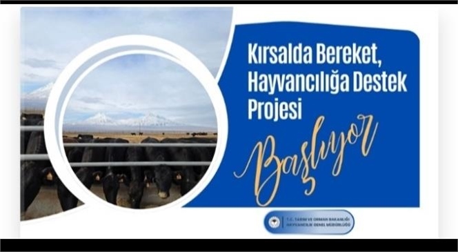 Kırsalda Bereket, Hayvancılığa Destek Projesi