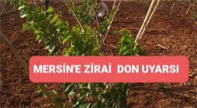 MERSİN'E ZİRAİ DON UYARISI