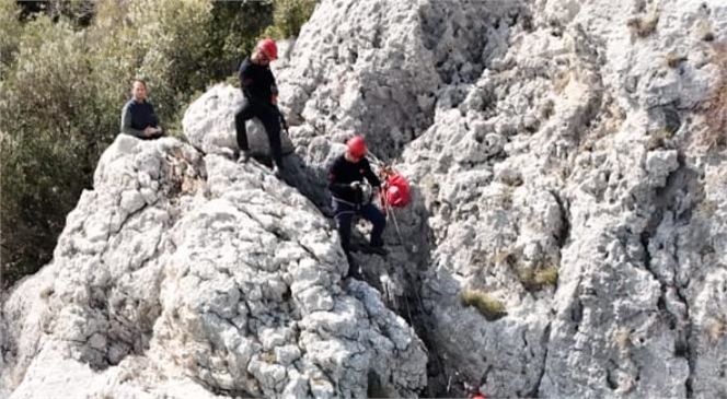 4 GÜNDÜR KAYALIKLARDA MAHSUR KALAN KEÇİLER MERSİN BÜYÜKŞEHİR İTFAİYESİ EKİPLERİ TARAFINDAN KURTARILDI