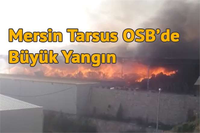 Mersin Tarsus OSB’de Büyük Yangın
