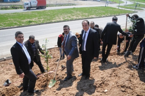 Cizre'de Bin 200 Fidan Toprakla Buluştu