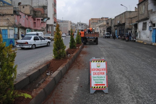 Şanlıurfa Yeşeriyor