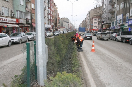 Bozüyük'te Orta Refüjler Yaza Hazırlanıyor