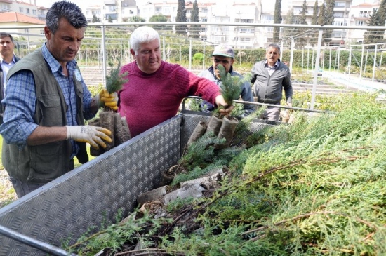 İzmir'de Yanan Ormanlık Alan Ağaçlandırıldı