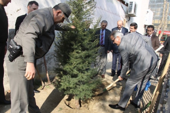 Orman Haftası Kutlanıyor