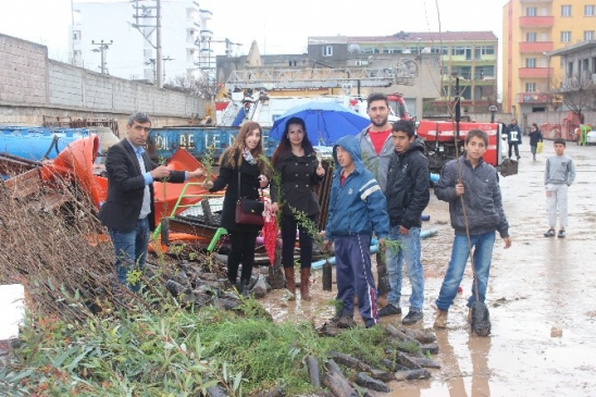 TEMA İdil'deki Okulları Yeşillendiriyor