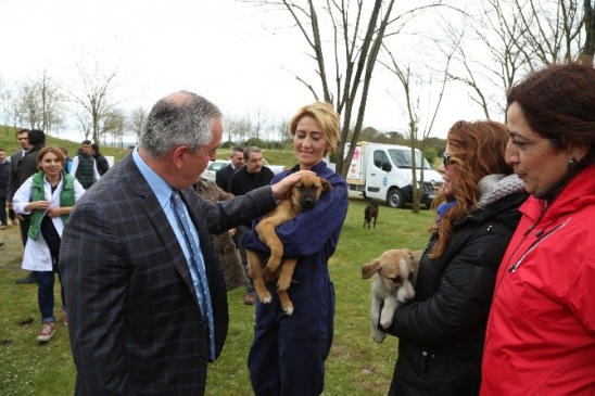 Eyüp Belediyesi'nden Sahipsiz Hayvanlara Yardım Eli