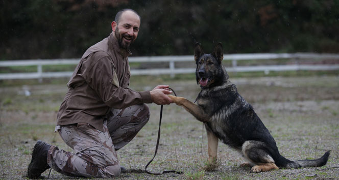 Köpeğiniz bir kahraman olabilir!!