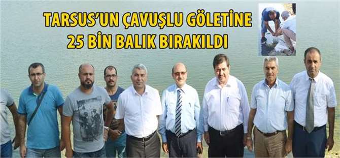 Tarsus’un Çavuşlu Göletine 25 Bin Balık Bırakıldı