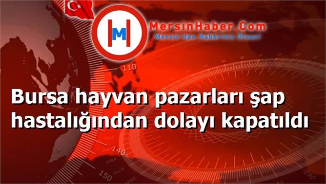 Bursa hayvan pazarları şap hastalığından dolayı kapatıldı