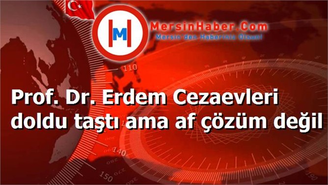 Prof. Dr. Erdem Cezaevleri doldu taştı ama af çözüm değil