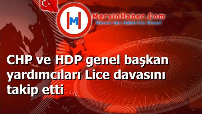 CHP ve HDP genel başkan yardımcıları Lice davasını takip etti