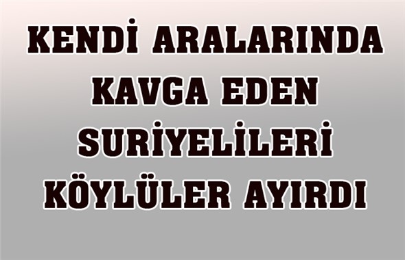 Kavga Eden 3 Suriyeliyi Ayırmaya Çalışan Köylülerle Suriyeliler Arasında Tartışma Çıktı