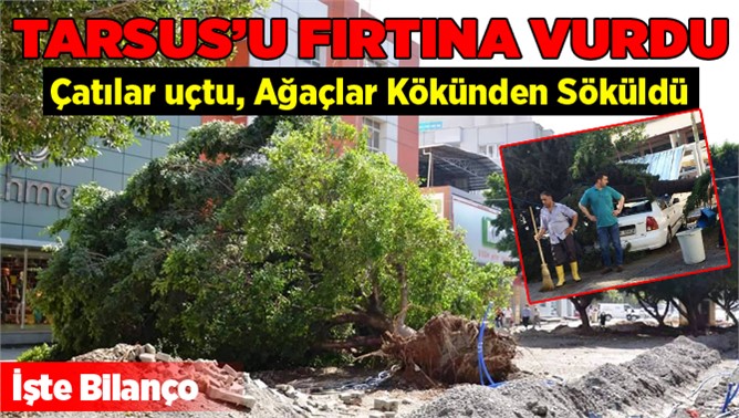 Tarsus'ta fırtına ağaçları devirdi, çatıları uçurdu