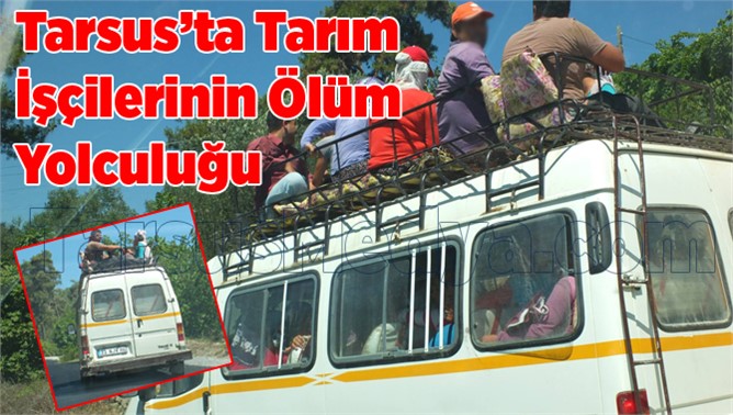 Tarsus'ta Tarım İşçilerinin Tehlikeli Yolculuğu