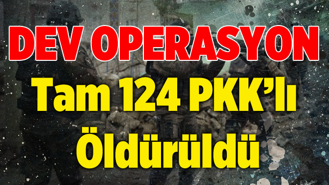 Diyarbakır'da bir yıl içerisinde 124 PKK'lı öldürüldü