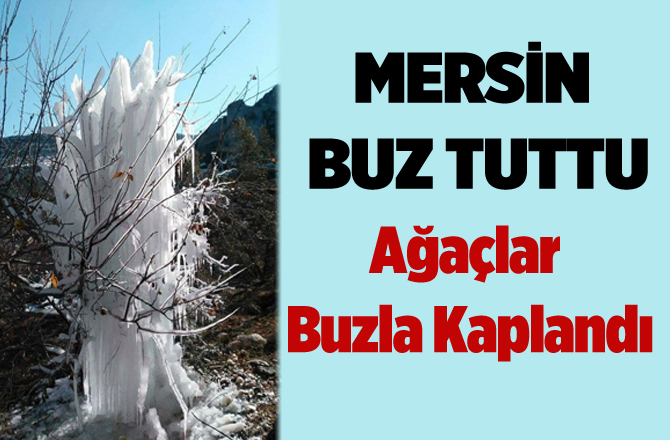 Mersin'de Soğuk Havada Her Şey Buz Tuttu