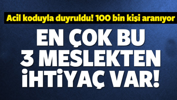 100 bin kişi aranıyor! İşte en çok aranan meslek